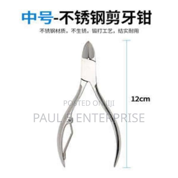 Pig Teeth Cutters or Clippers High Quality · Photo 2