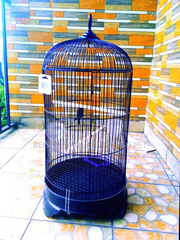 Imported Quality Parrot Cages · Photo 1