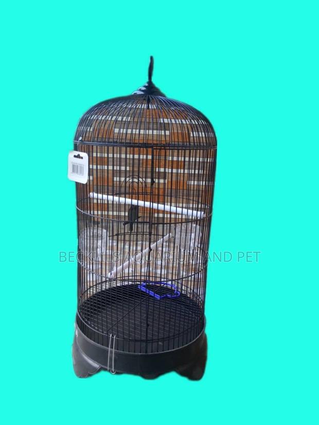 Imported Quality Parrot Cages · Photo 2