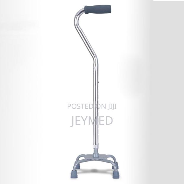 Tetrapod Walking Stick(Quade Cane) · Photo 1