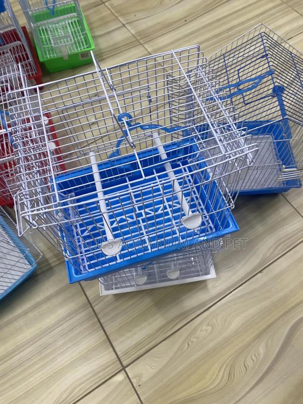 Cages For Small Bird · Photo 2