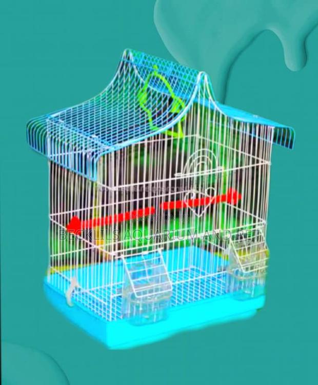 Finches Birdcage · Photo 2