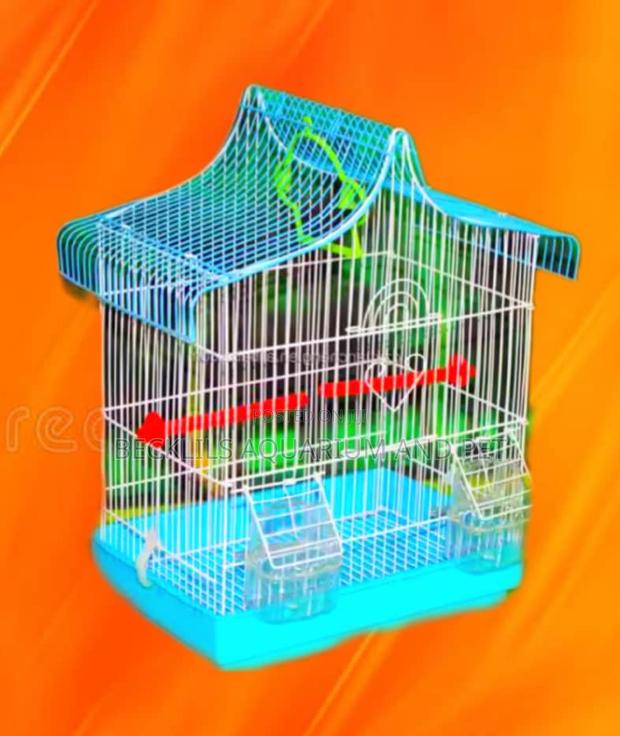 Finches Birdcage · Photo 3