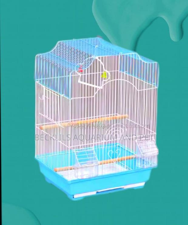 Cages for Love Birds · Photo 2