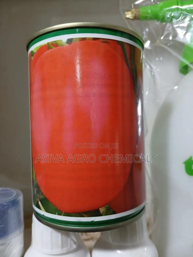 Tomato Seeds · Photo 3