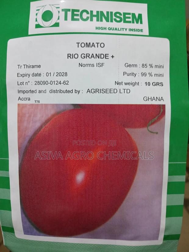 Tomato Seeds · Photo 2