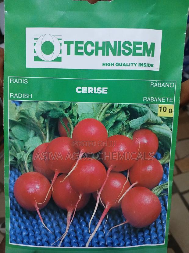 Radish Seeds · Photo 1