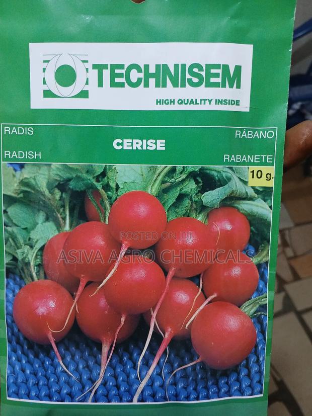 Radish Seeds · Photo 2