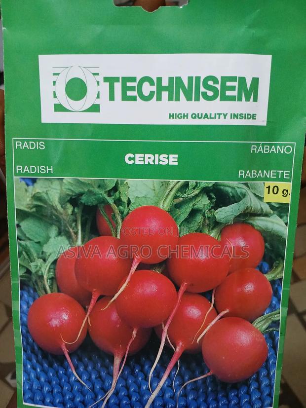 Radish Seeds · Photo 3