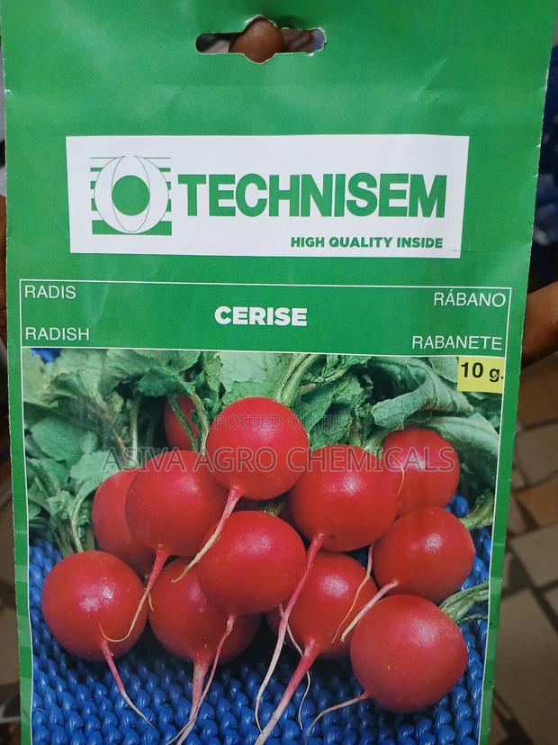 Radish Seeds · Photo 4