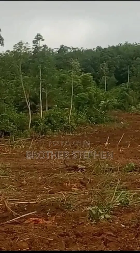 Asamankese Farmland for Sale.