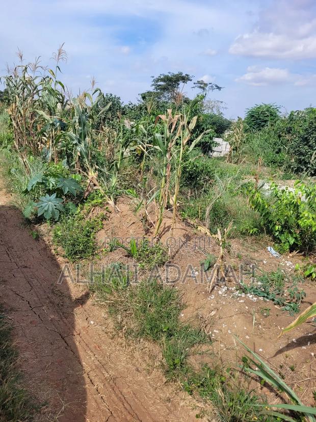 Two Plots of Land for Sale at Santa'si Darko · Photo 4