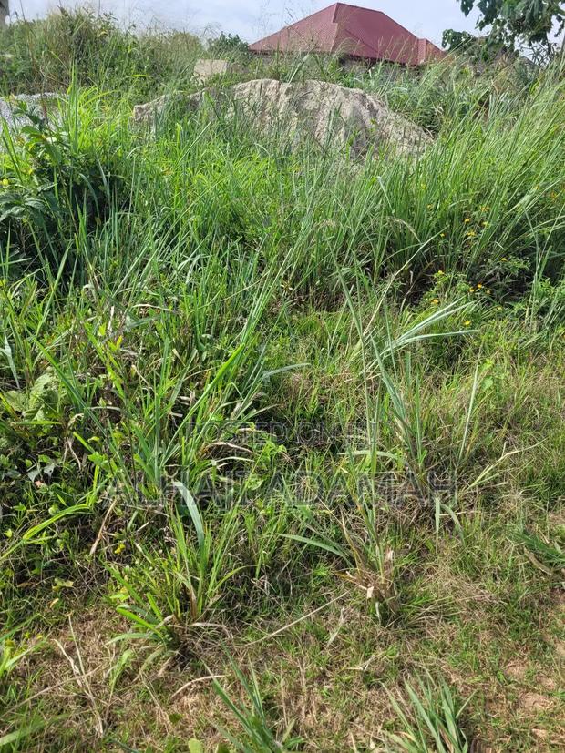 Two Plots of Land for Sale at Santa'si Darko · Photo 8