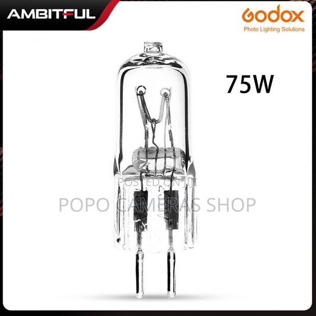 Godox Modeling Lamp for Pioneer 200/160 Etc · Photo 2