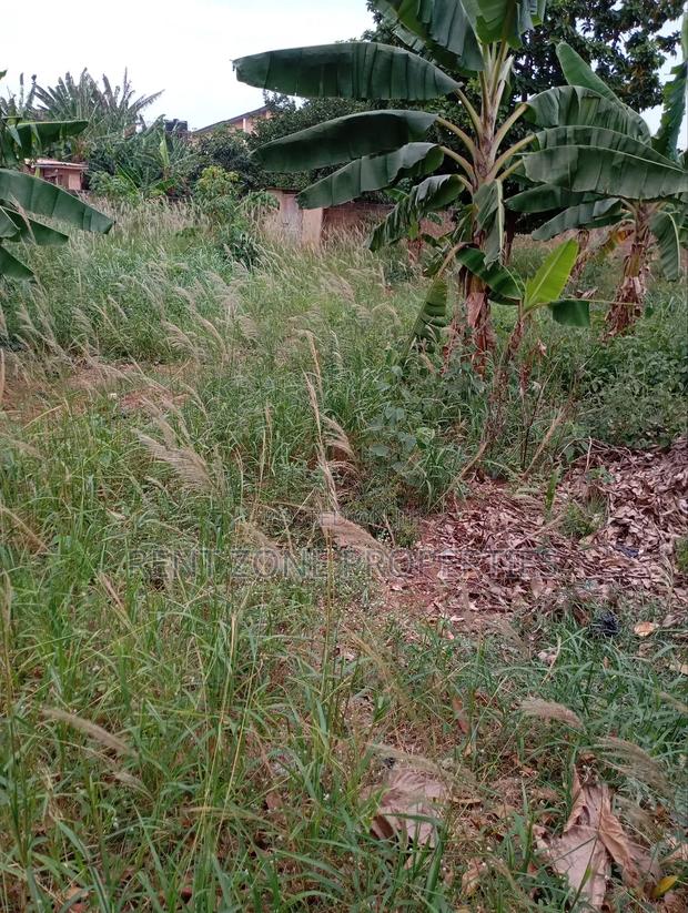 Plot of Land for Sale · Photo 4