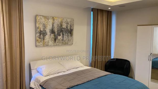 Furnished 1 Bedroom Apartment at Osu · Photo 6
