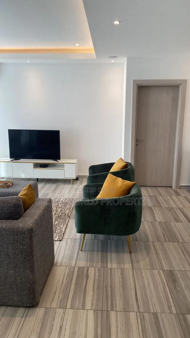 Furnished 1 Bedroom Apartment at Osu · Photo 3