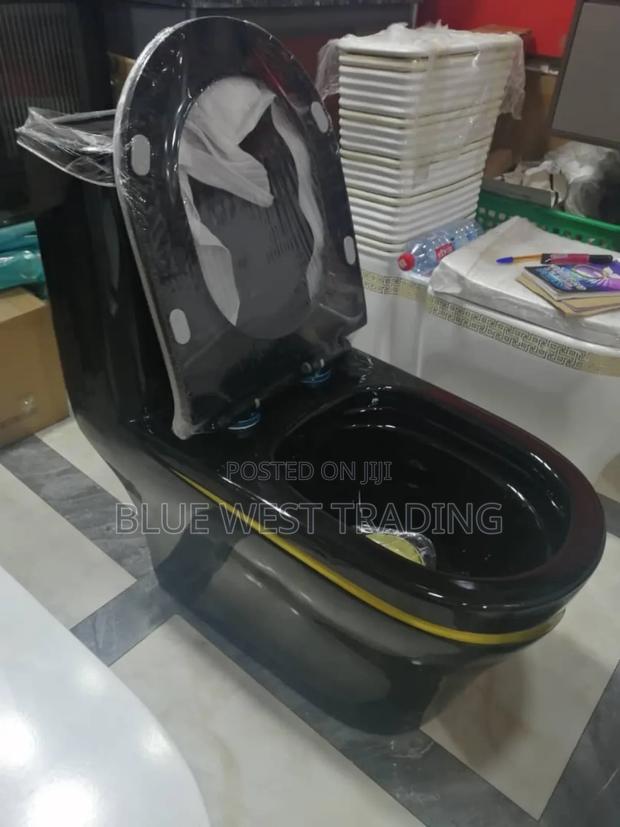 Black and Gold Water Closet · Photo 4