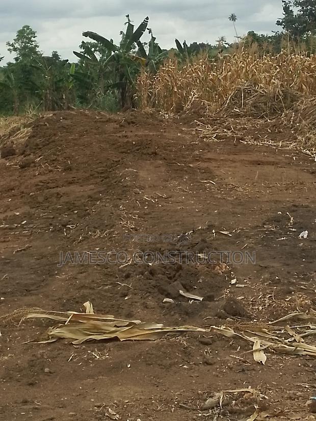 Farmland for Sale · Photo 3