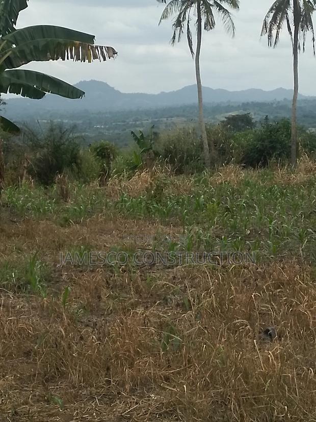 Farmland for Sale · Photo 4