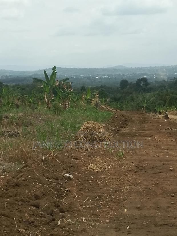 Farmland for Sale · Photo 1