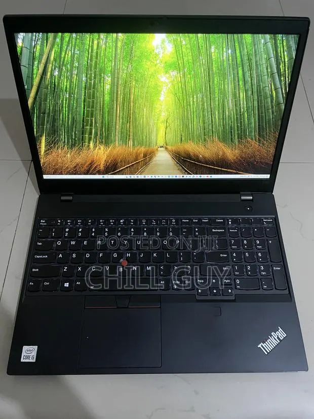 Laptop Lenovo ThinkPad T15 Gen1 16GB Intel Core i5 SSD 512GB · Photo 1