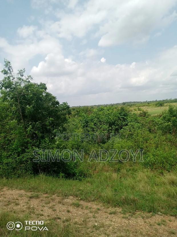 6000 Acres Farm Land Available for Long Term Lease · Photo 3