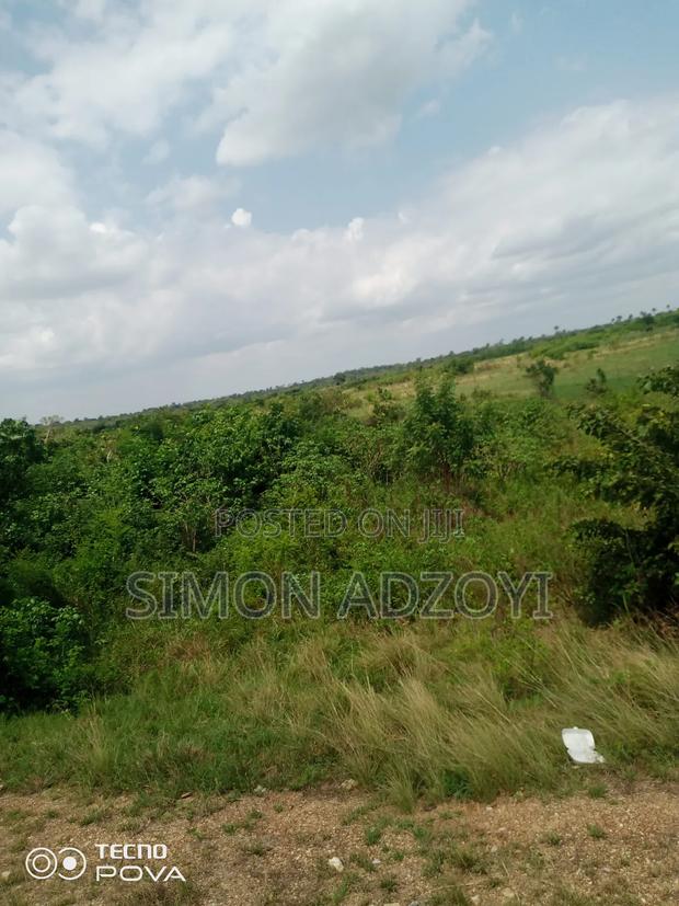 6000 Acres Farm Land Available for Long Term Lease · Photo 4