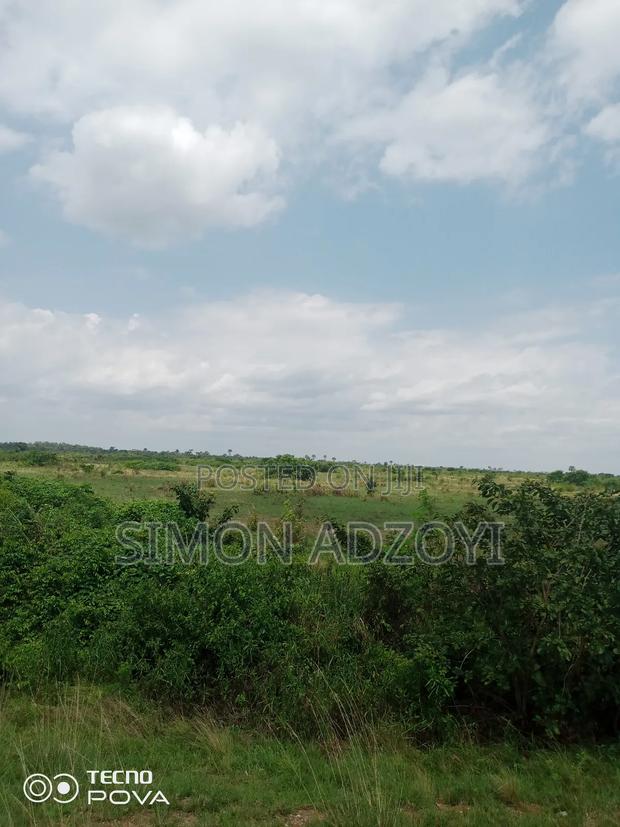 250 Acres of Land for Sale · Photo 1
