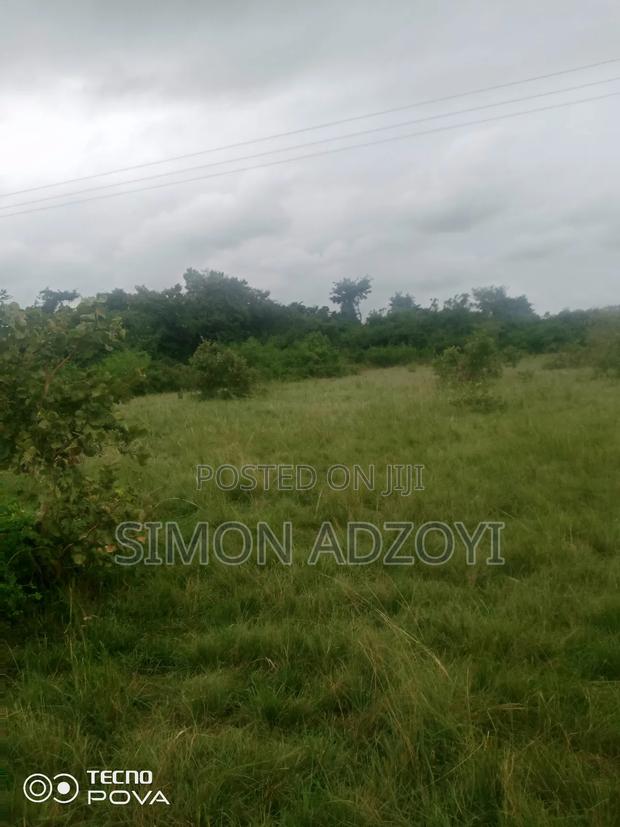 250 Acres of Land for Sale · Photo 2