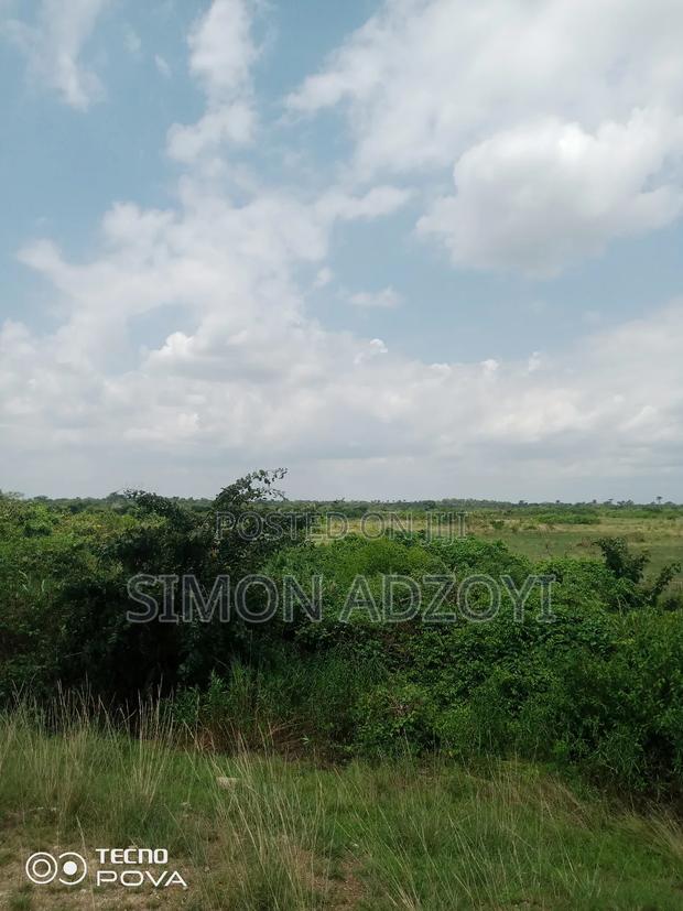 250 Acres of Land for Sale · Photo 3