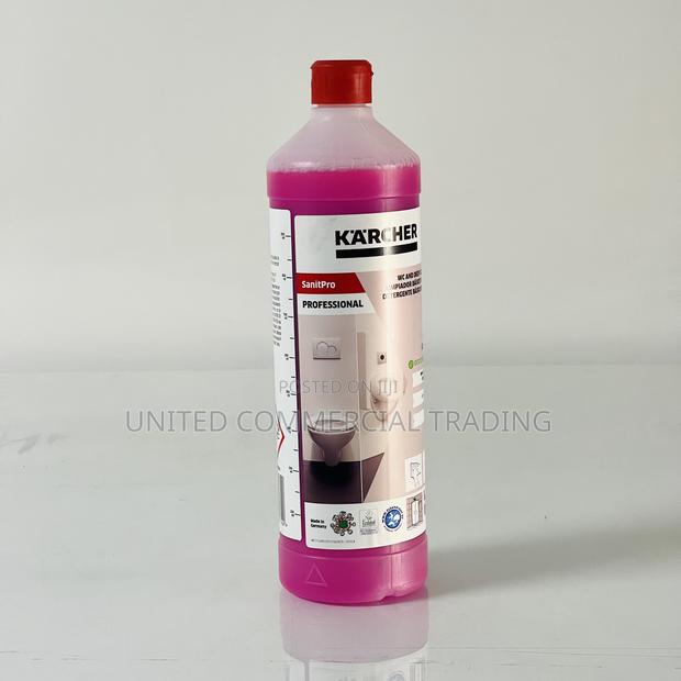 Sanitary Basic Cleaning (Karcher) · Photo 3