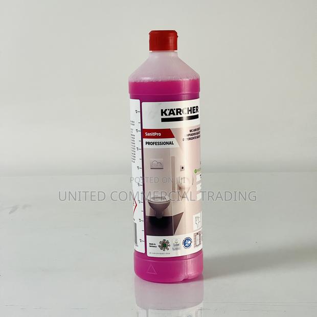 Sanitary Basic Cleaning (Karcher) · Photo 1