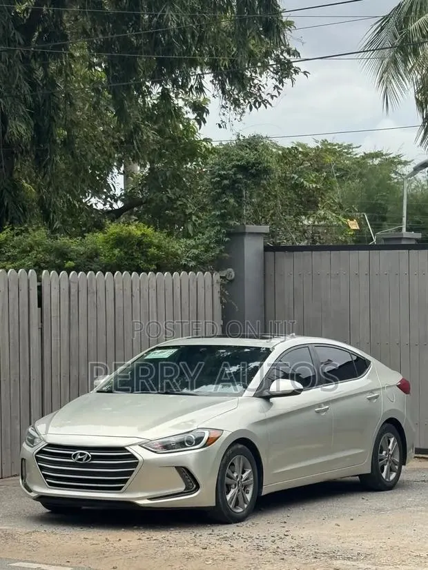 Hyundai Elantra 2018 Gold · Photo 1