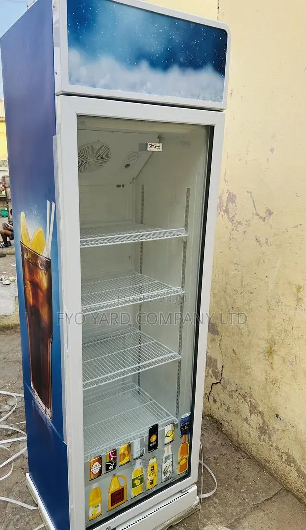 All Drinks Showcasing Zara Top Quality 300liters Display Fridge · Photo 1