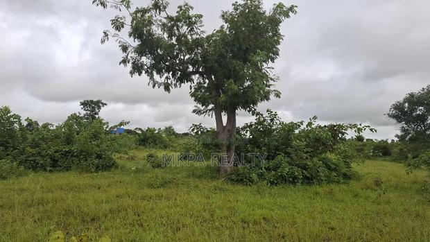 Plot of Land at Baglahi on the Tamale-Yendi Road for Sale · Photo 5