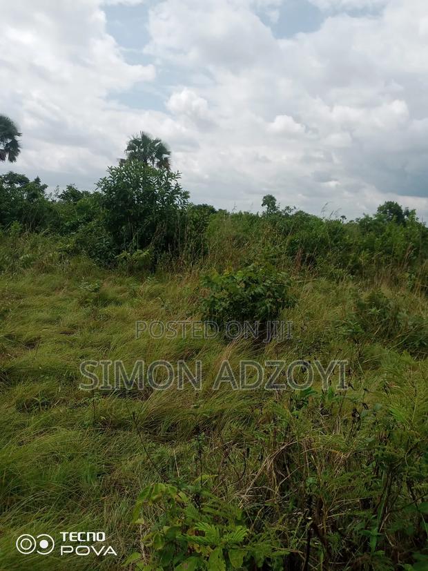 Farm Land for Long Term Lease · Photo 1