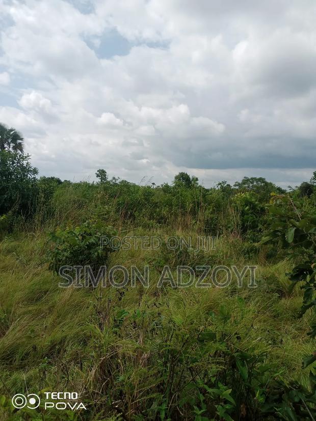 Farm Land for Long Term Lease · Photo 2