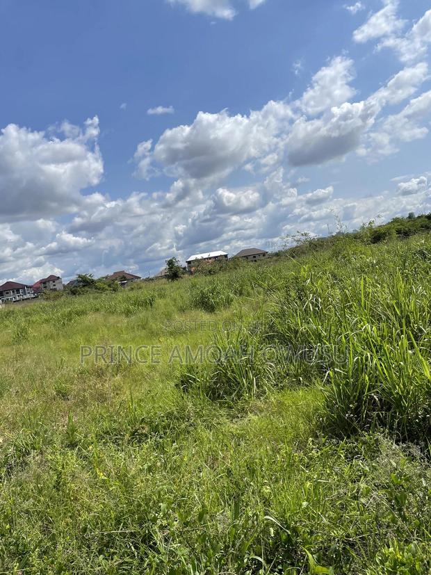 Do You Need a Land Surveyor · Photo 2