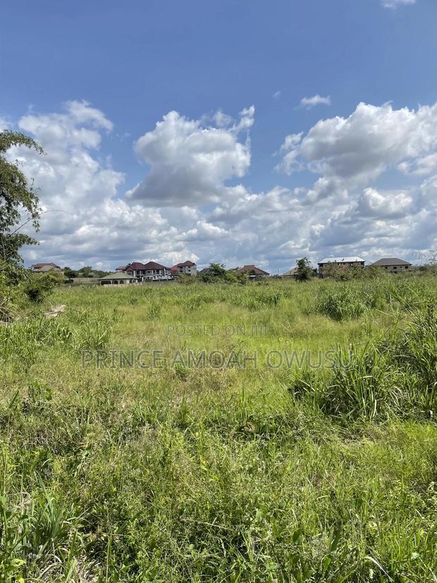 Do You Need a Land Surveyor · Photo 3
