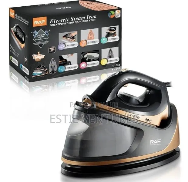 Electric Steam Iron · Photo 1