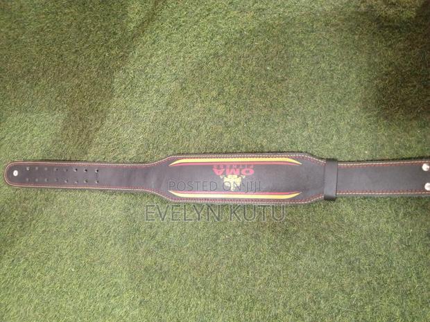 Gym Belt (Quality) · Photo 3