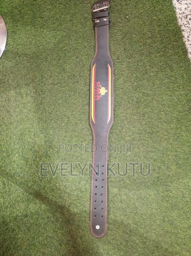 Gym Belt (Quality) · Photo 4