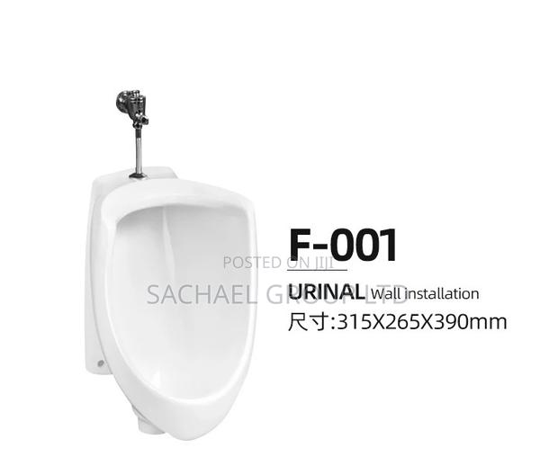 Complete Men Urinal Bowl · Photo 4