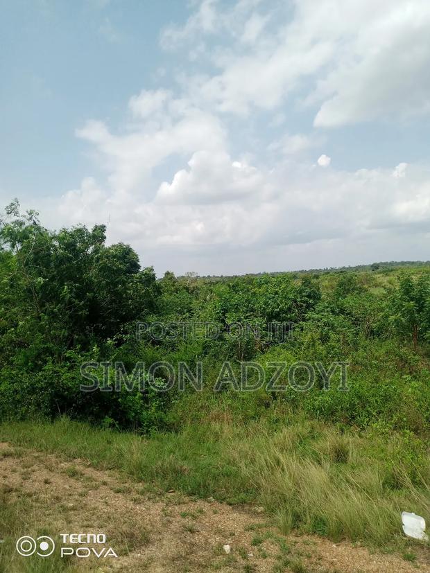 5000+ of Farm Land for Long Term Lease · Photo 3