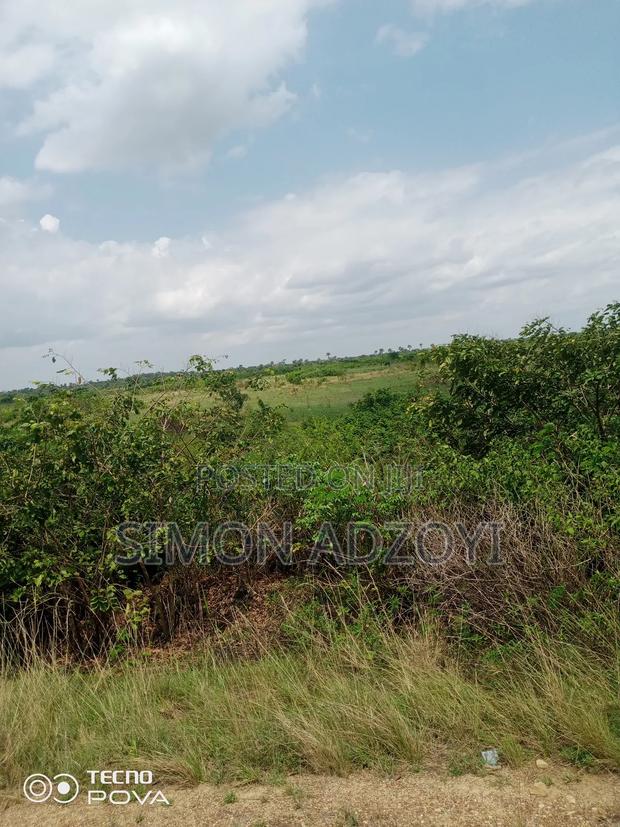 5000+ of Farm Land for Long Term Lease · Photo 4