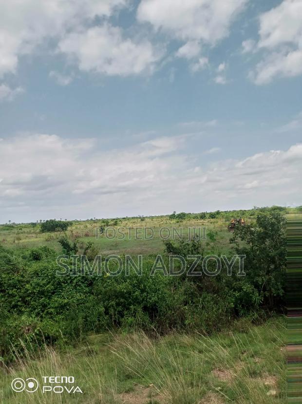 5000+ of Farm Land for Long Term Lease · Photo 5