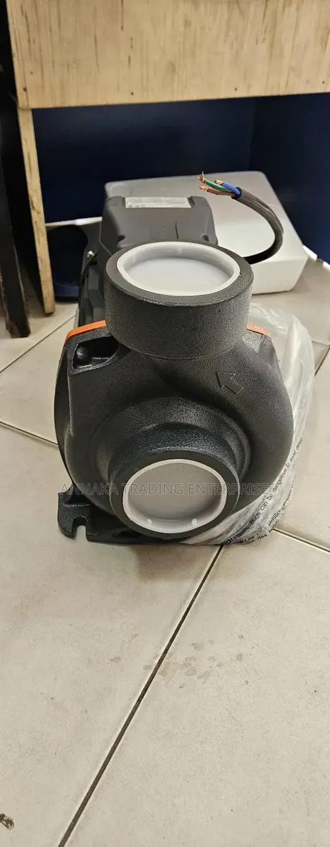Leo Water Pump · Photo 1