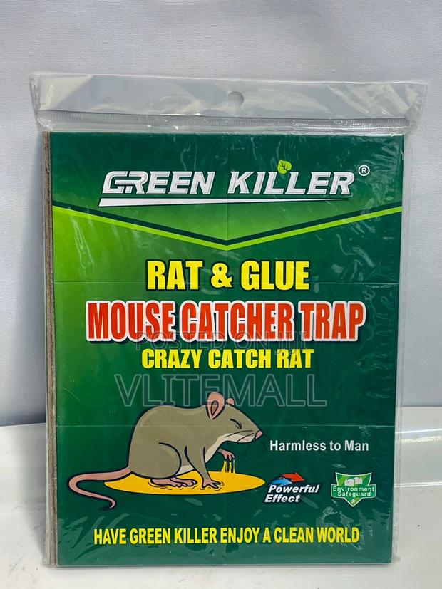 Rat Glue Mouse Catcher Trap (GS-605) · Photo 1