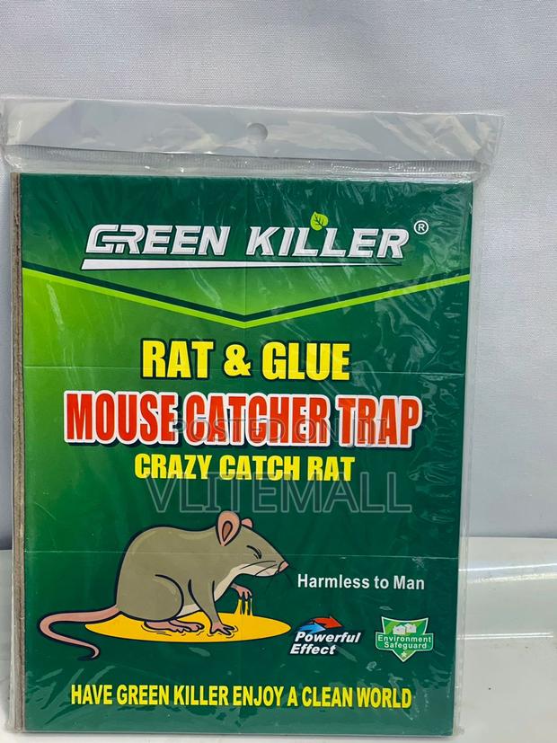 Rat Glue Mouse Catcher Trap (GS-605) · Photo 3